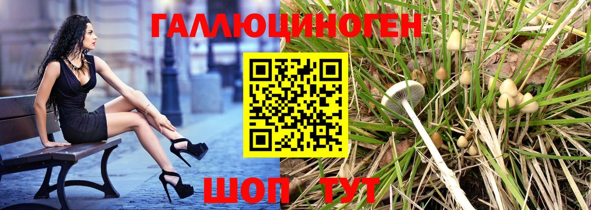 Обнинск  Псилоцибиновые грибы MAGIC MUSHROOMS  Вход с VPN 